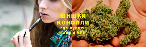МДПВ Богданович