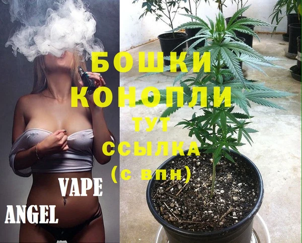 МДПВ Богданович