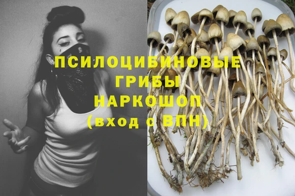 стафф Богородск