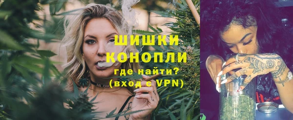стафф Богородск