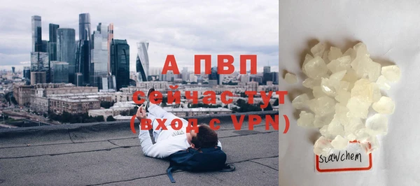 стафф Богородск