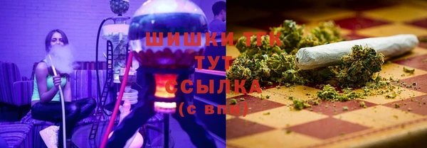 стафф Богородск